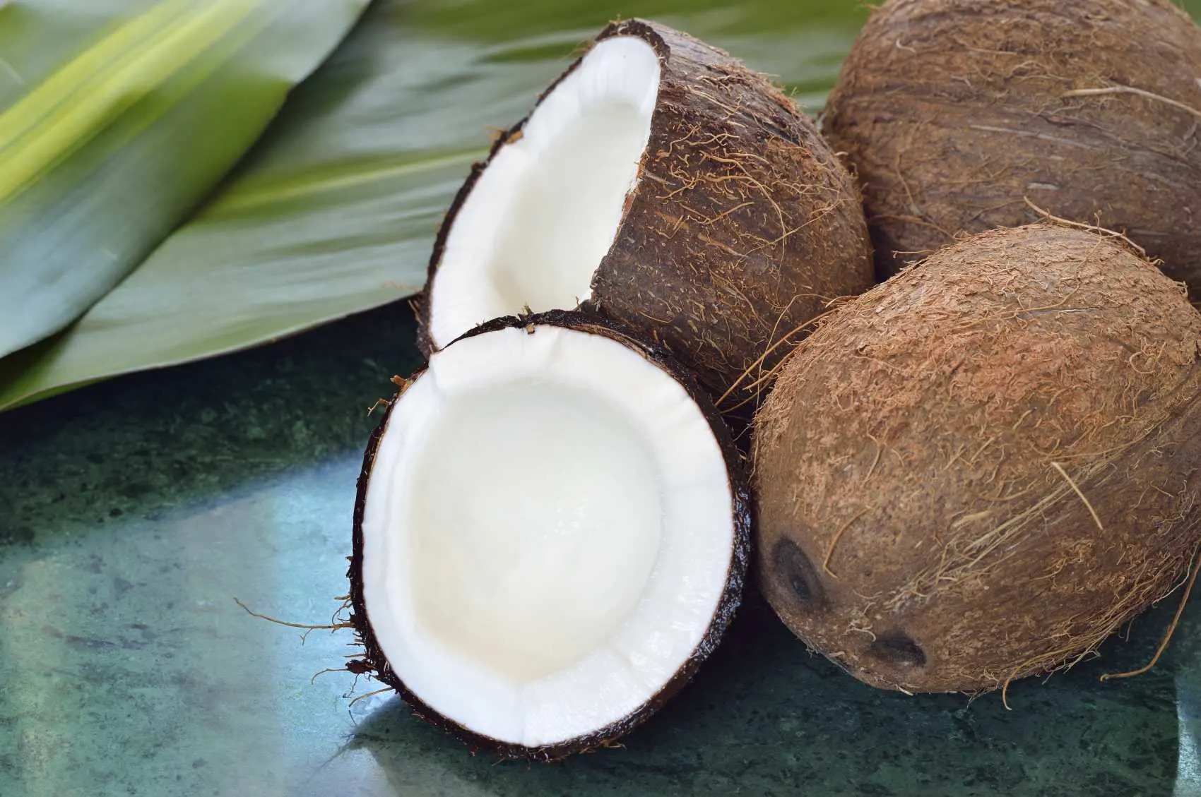 Mơ thấy quả dừa là điềm gì