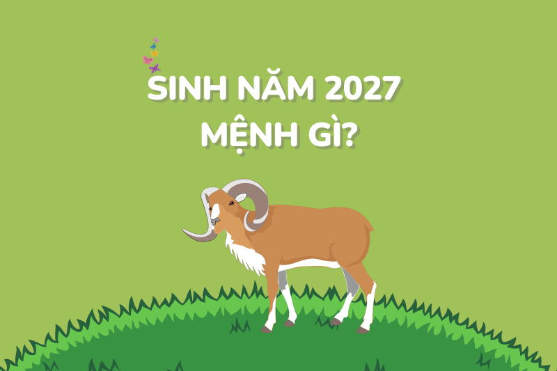 Sinh Năm 2027 Mệnh Gì? Tổng Quan Về Đinh Mùi 2027