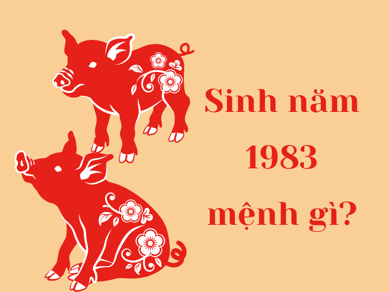 Sinh Năm 1983 Mệnh Gì? Tử Vi Trọn Đời Người Sinh Năm 1983