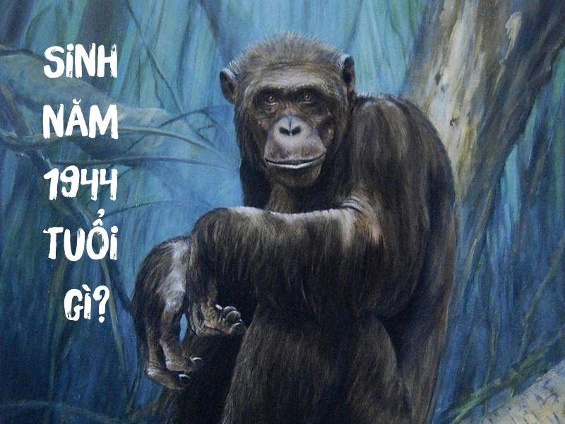 Người Sinh Năm 1944 Mệnh Gì? Giải Đáp Thắc Mắc Người Sinh Năm 1944