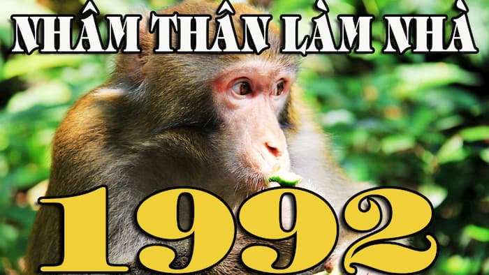 Hướng Nhà Tuổi Nhâm Thân 1992 Giúp Gia Chủ Làm Ăn Phát Tài