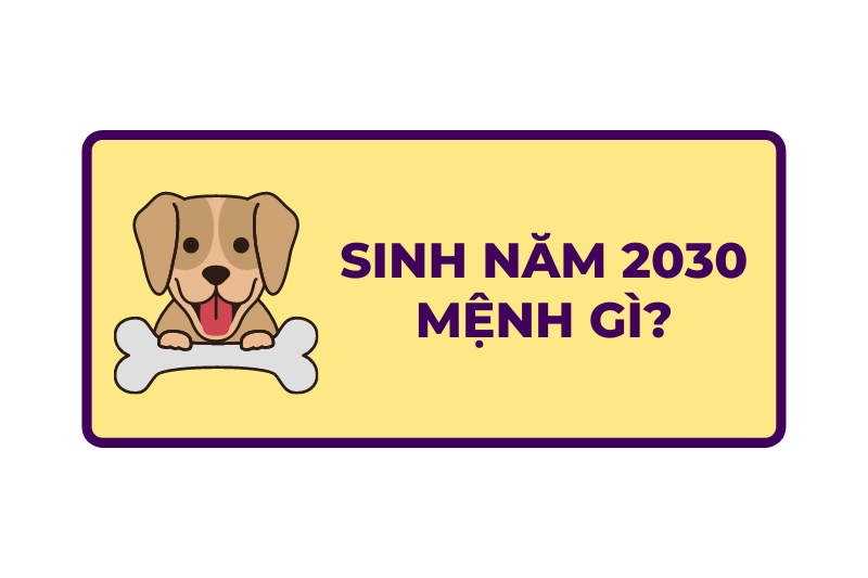 Người Sinh Năm 2030 Mệnh Gì? Giải Đáp Thắc Mắc Người Sinh Năm 2030