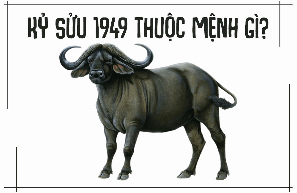 Sinh Năm 1949 Mệnh Gì? Tổng Quan Về Kỷ Sửu 1949