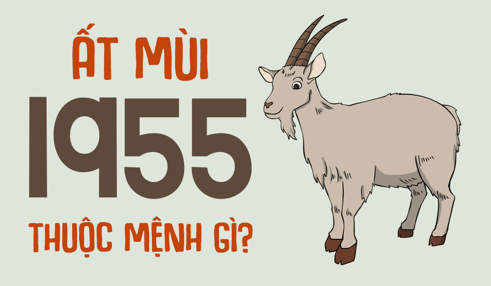 Sinh Năm 1955 Mệnh Gì? Tổng Quan Về Ất Mùi 1955