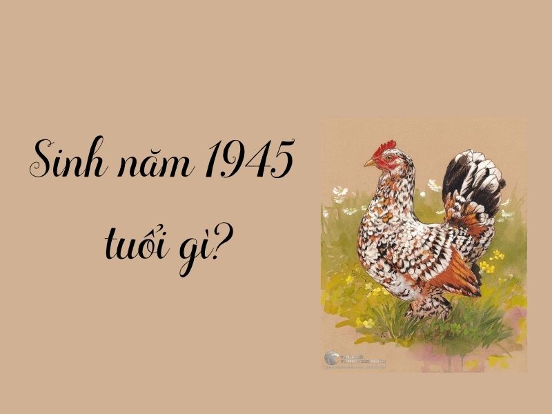 Người Sinh Năm 1945 Mệnh Gì? Giải Đáp Thắc Mắc Người Sinh Năm 1945