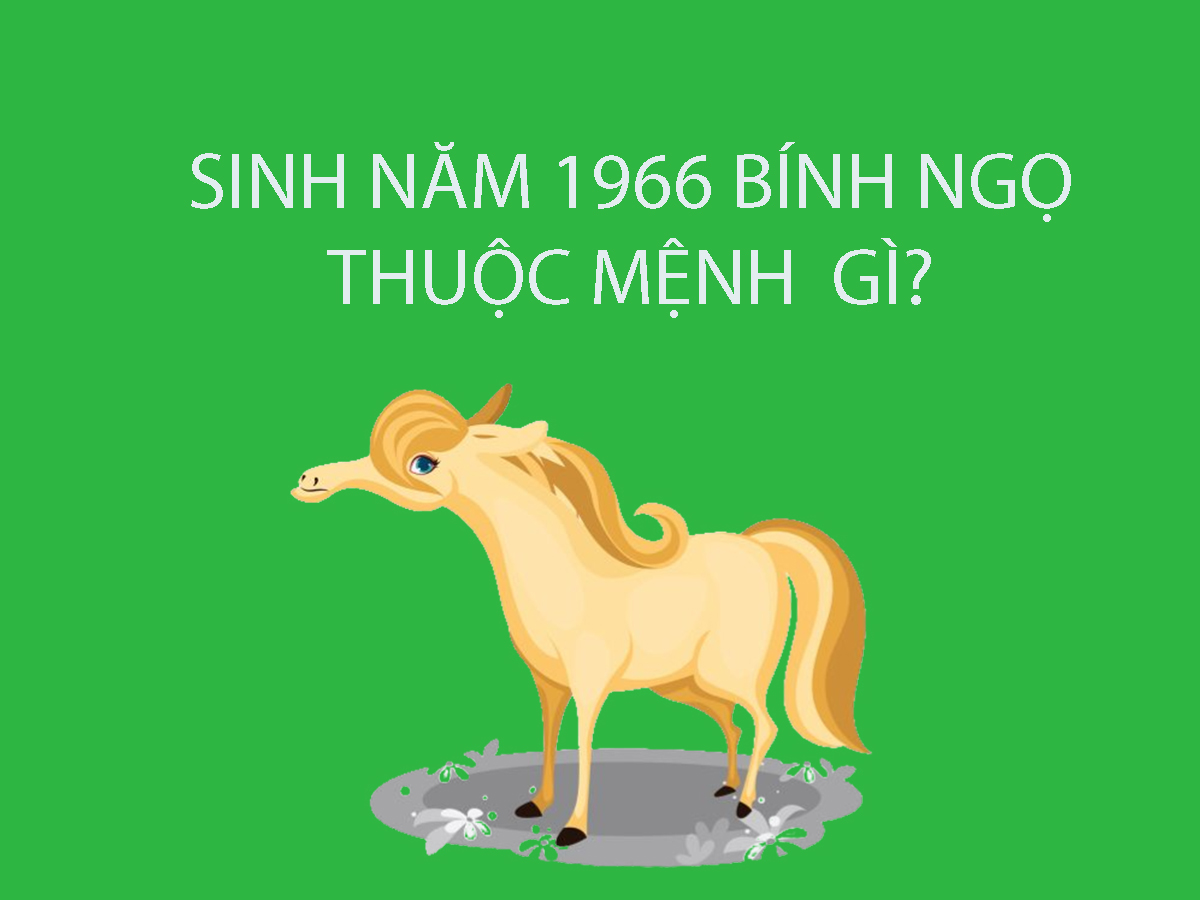 Sinh Năm 1966 Mệnh Gì? Tử Vi Trọn Đời Người Sinh Năm 1966