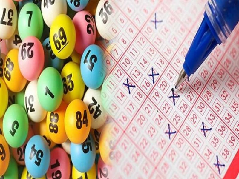 Tổng hợp phương pháp bắt bạch thủ lô hiệu quả nhất