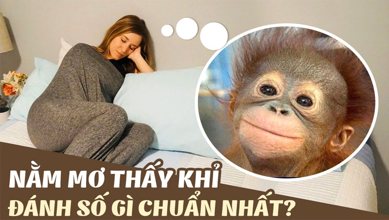 Nằm Mơ Thấy Con Khỉ Đánh Số Mấy Chuẩn Xác Nhất? Điềm Báo Gì?