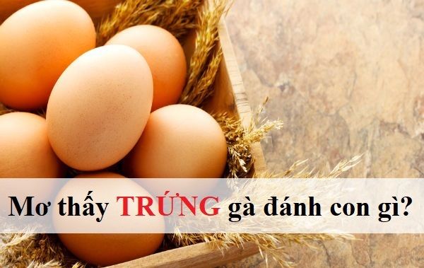 Mơ Thấy Trứng Báo Hiệu Điềm Gì, Dữ Hay Lành - Con Số Nào May Mắn?