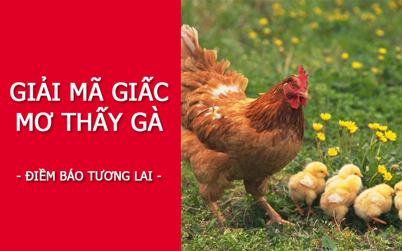 Nằm Mơ Thấy Gà Điềm Báo Lành Hay Dữ? Đánh Con Gì Để Chắc Ăn