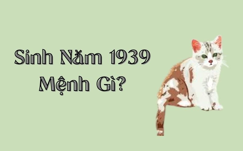 Sinh Năm 1939 Mệnh Gì? Tử Vi Trọn Đời Người Sinh Năm 1939