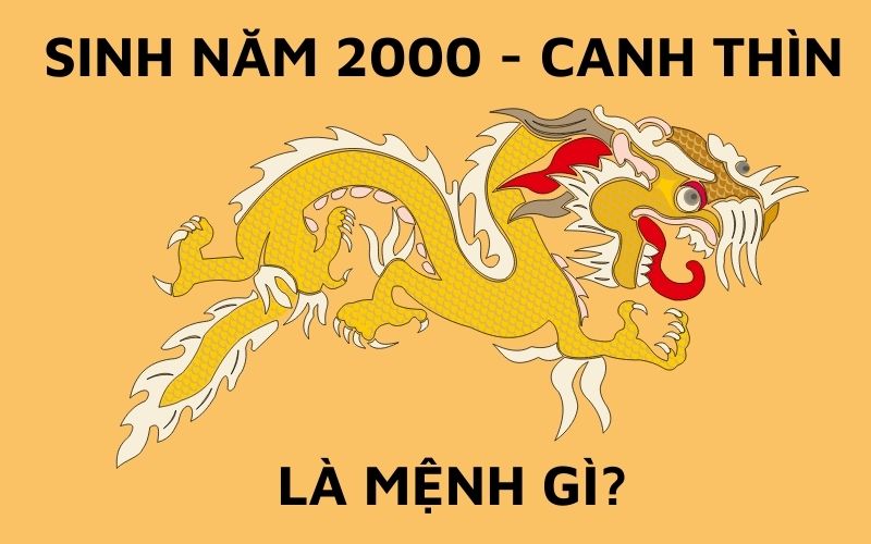 Sinh Năm 2000 Mệnh Gì? Tổng Quan Về Canh Thìn 2000