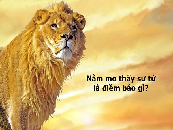 Mơ Thấy Sư Tử Mang Điềm Báo Tốt Hay Xấu? Con Số Nào Mang Lại May Mắn?