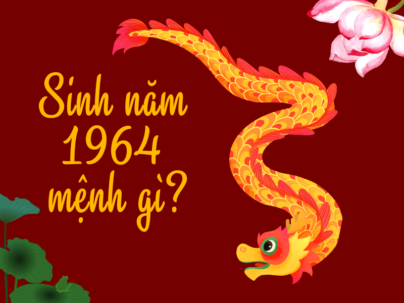 Sinh Năm 1964 Mệnh Gì? Tử Vi Trọn Đời Người Sinh Năm 1964