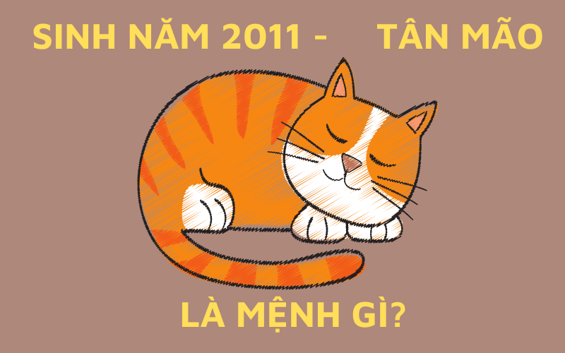 Người Sinh Năm 2011 Mệnh Gì? Giải Đáp Thắc Mắc Người Sinh Năm 2011