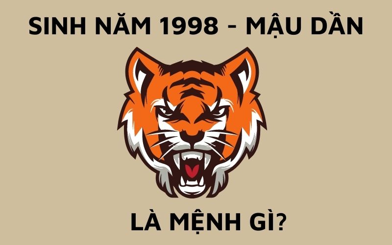 Sinh Năm 1998 Mệnh Gì? Tử Vi Trọn Đời Người Sinh Năm 1998