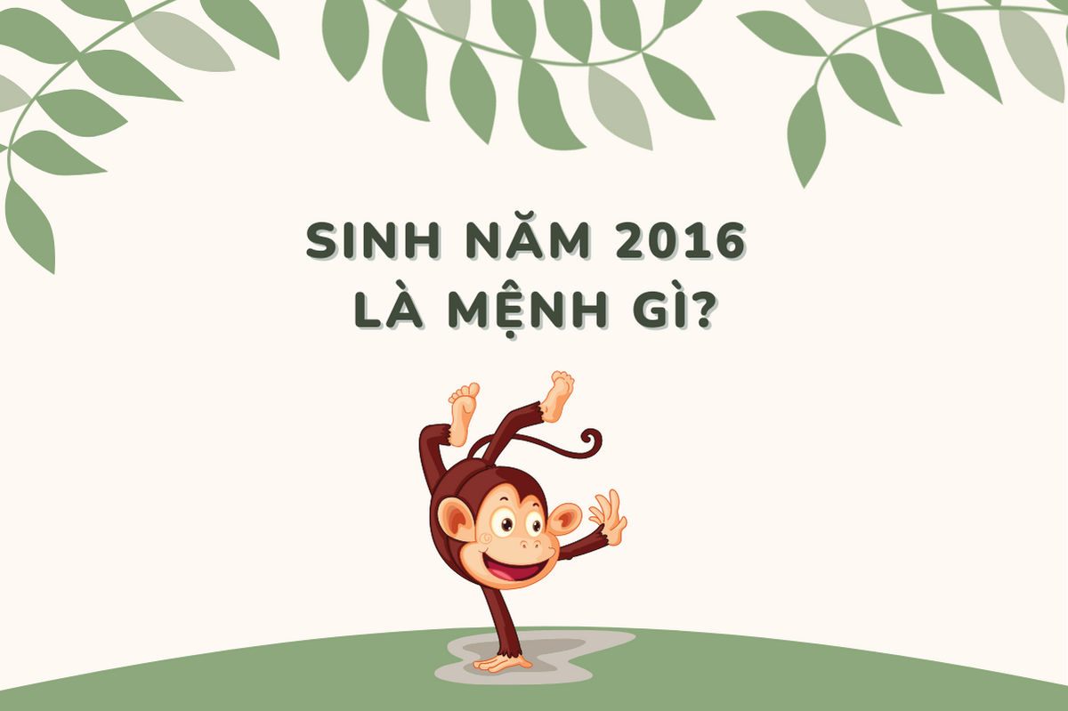 Sinh Năm 2016 Mệnh Gì? Tử Vi Trọn Đời Người Sinh Năm 2016