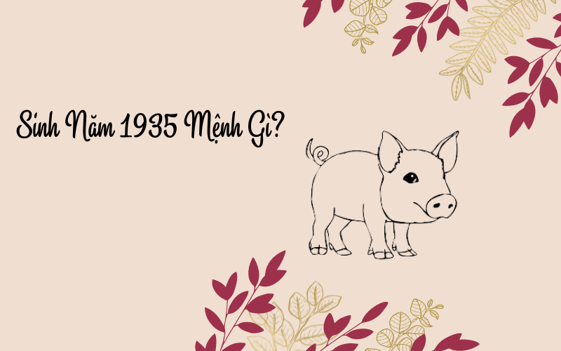 Sinh Năm 1935 Mệnh Gì? Tổng Quan Về Ất Hợi 1935