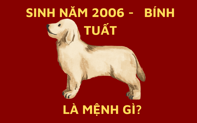 Sinh Năm 2006 Mệnh Gì? Tổng Quan Về Bính Tuất 2006