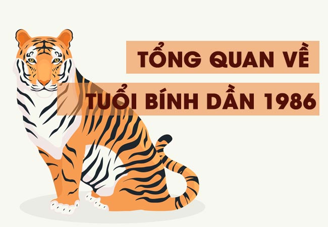 [Giải Đáp] 1986 Mệnh Gì? Sinh Năm 1986 Hợp Màu Gì?