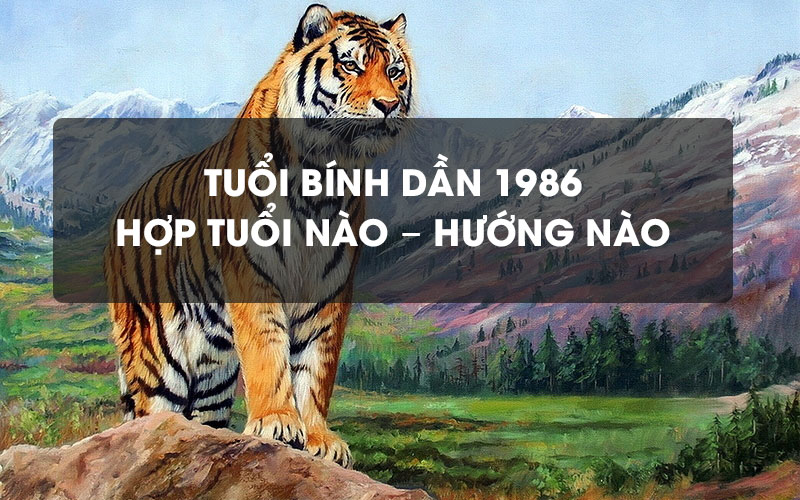 Phong Thủy Hợp Mệnh Tuổi Bính Dần Hợp Tuổi Nào, Hướng Nào?