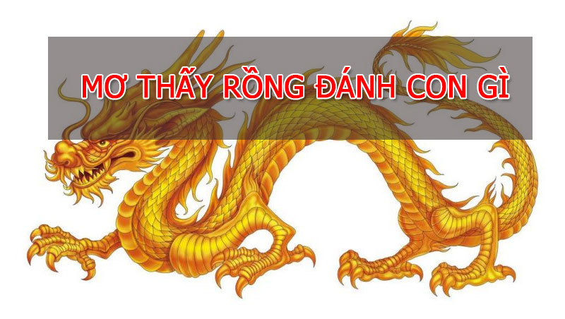 Mơ Thấy Rồng Báo Hiệu Điều Gì Đến? Đánh Số Gì May Mắn?