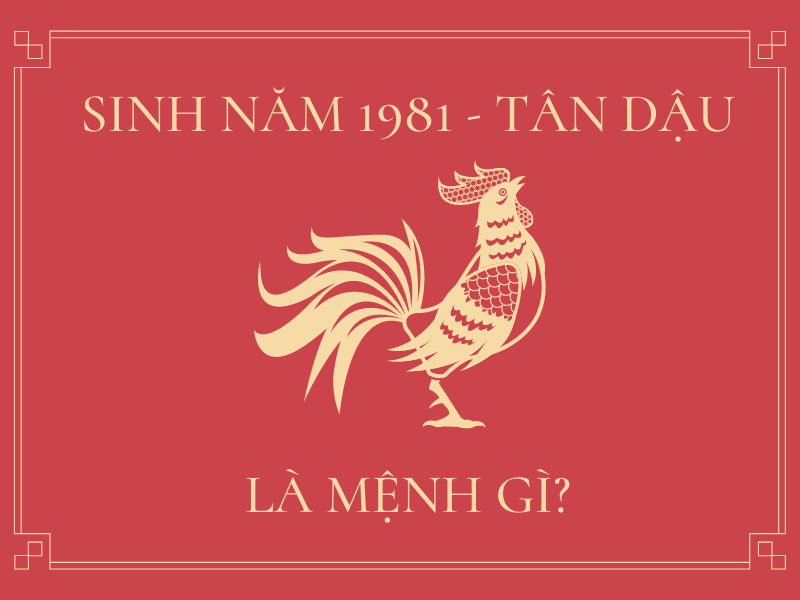 Người Sinh Năm 1981 Mệnh Gì? Giải Đáp Thắc Mắc Người Sinh Năm 1981