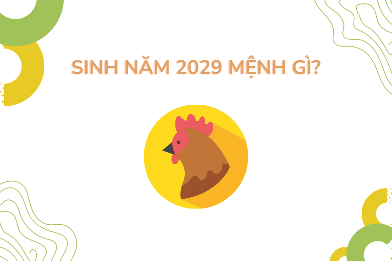 Sinh Năm 2029 Mệnh Gì? Tổng Quan Về Kỷ Dậu 2029