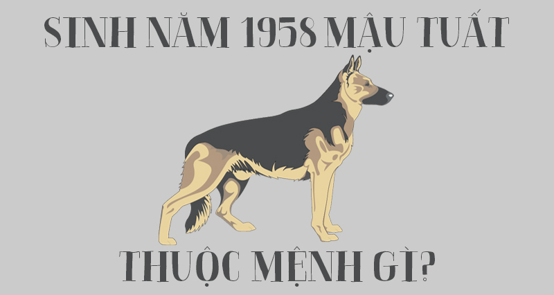 Người Sinh Năm 1958 Mệnh Gì? Giải Đáp Thắc Mắc Người Sinh Năm 1958