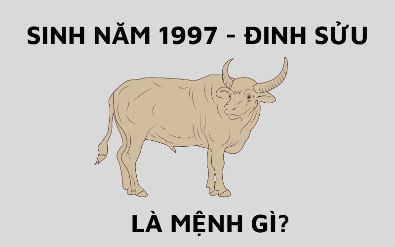 Sinh Năm 1997 Mệnh Gì? Tử Vi Trọn Đời Người Sinh Năm 1997