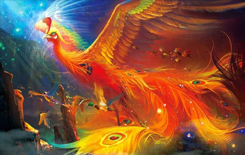 Giải Mã Giấc Mơ Thấy Chim Phượng Hoàng? Đánh Con Gì Khi Mơ Thấy Chim Phượng Hoàng?