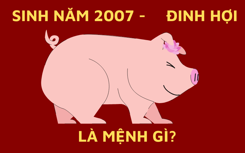 Sinh Năm 2007 Mệnh Gì? Tử Vi Trọn Đời Người Sinh Năm 2007