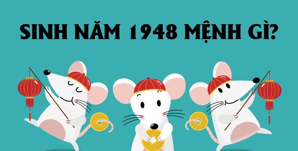 Người Sinh Năm 1948 Mệnh Gì? Giải Đáp Thắc Mắc Người Sinh Năm 1948