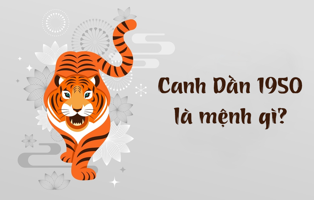 Người Sinh Năm 1950 Mệnh Gì? Giải Đáp Thắc Mắc Người Sinh Năm 1950