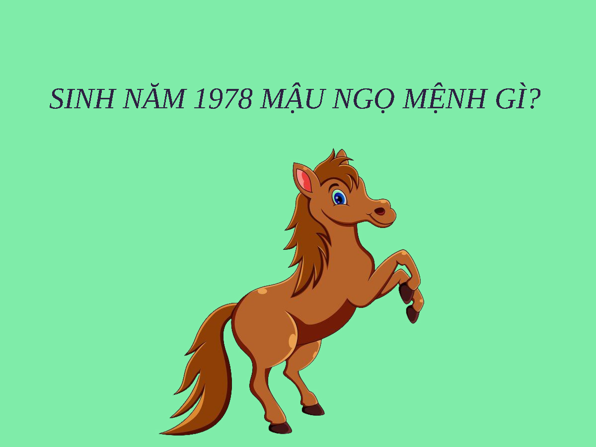 Người Sinh Năm 1978 Mệnh Gì? Giải Đáp Thắc Mắc Người Sinh Năm 1978