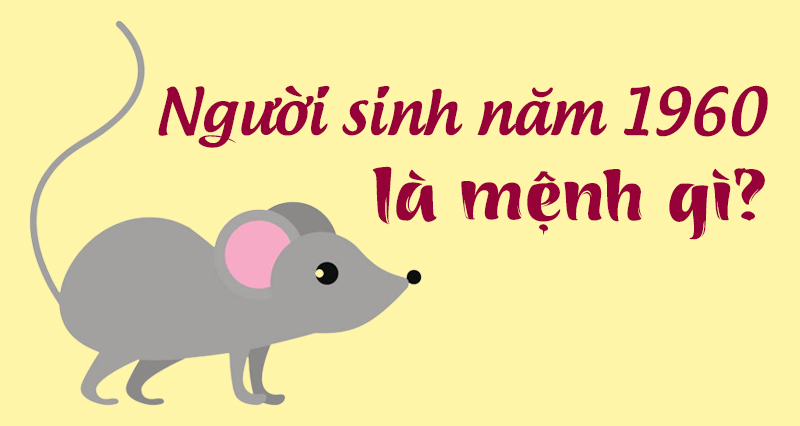 Sinh Năm 1960 Mệnh Gì? Tổng Quan Về Canh Tý 1960