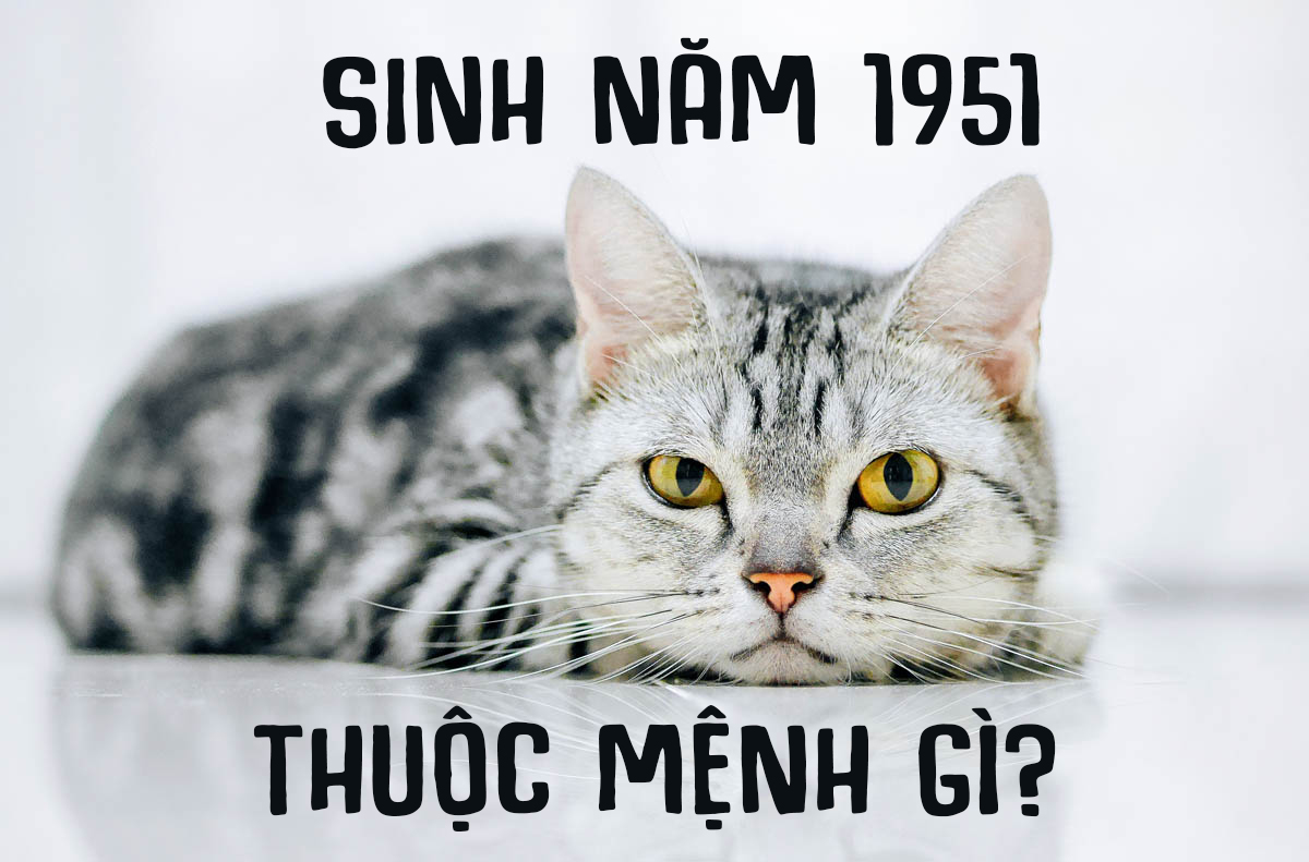 Sinh Năm 1951 Mệnh Gì? Tử Vi Trọn Đời Người Sinh Năm 1951