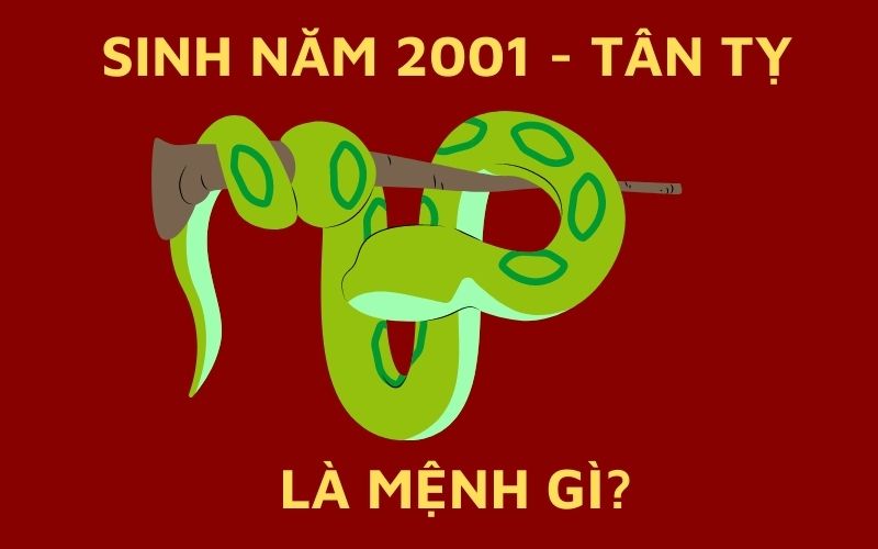 Sinh Năm 2001 Mệnh Gì? Tổng Quan Về Tân Tỵ 2001