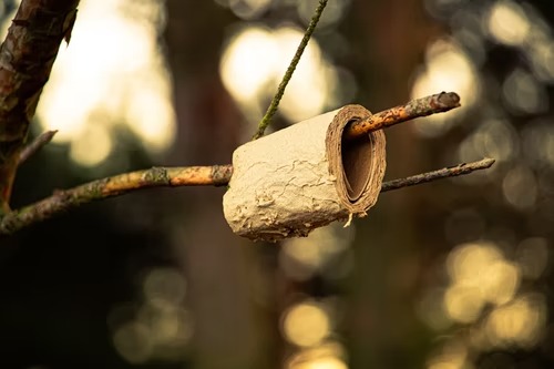 Mơ Thấy Ỉa Đùn Là Điềm Tốt Hay Điềm Xấu? Đánh Số Gì Khi Mơ Ỉa Đùn?