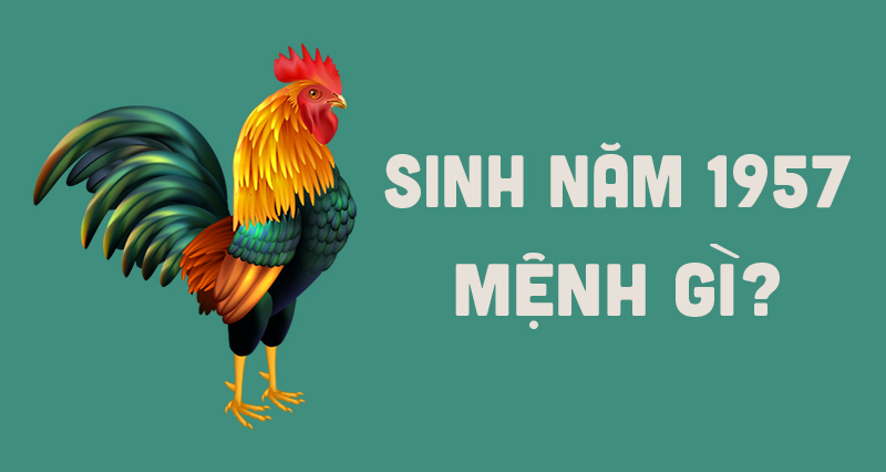 Sinh Năm 1957 Mệnh Gì? Tổng Quan Về Đinh Dậu 1957