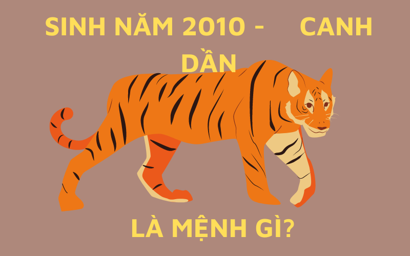Người Sinh Năm 2010 Mệnh Gì? Giải Đáp Thắc Mắc Người Sinh Năm 2010