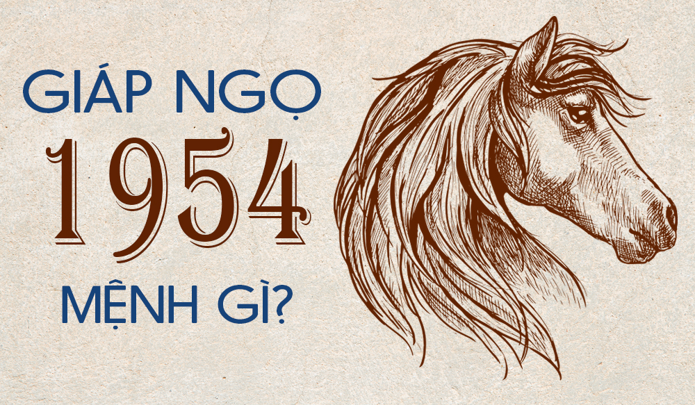 Sinh Năm 1954 Mệnh Gì? Tử Vi Trọn Đời Người Sinh Năm 1954