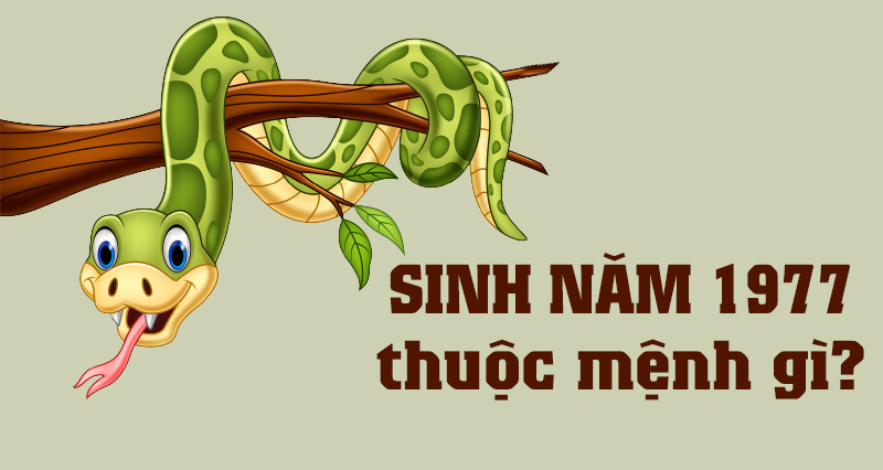 Sinh Năm 1977 Mệnh Gì? Tổng Quan Về Đinh Tỵ 1977