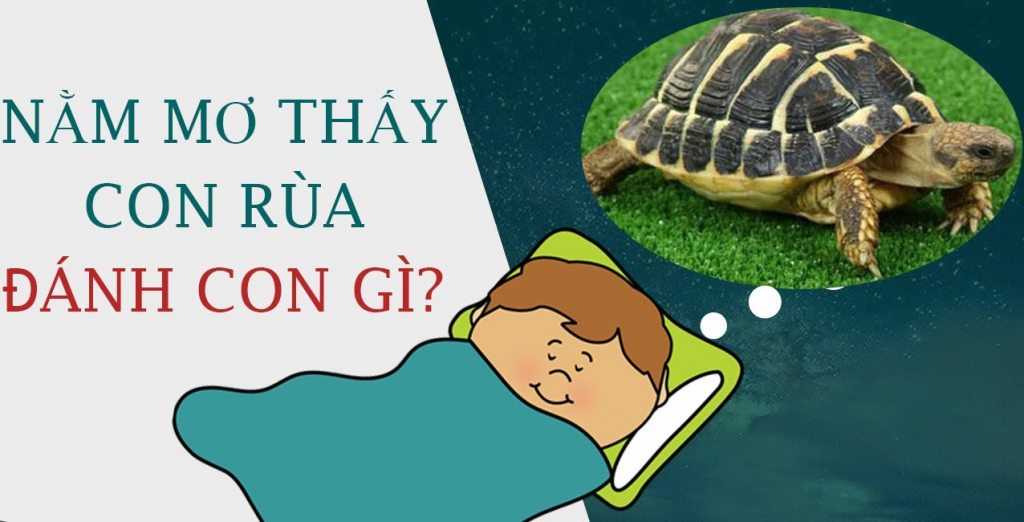 Giải Mã Bí Ẩn Mơ Thấy Rùa Báo Điềm Gì? Đánh Số Gì Để Ăn To, Trúng Lớn?