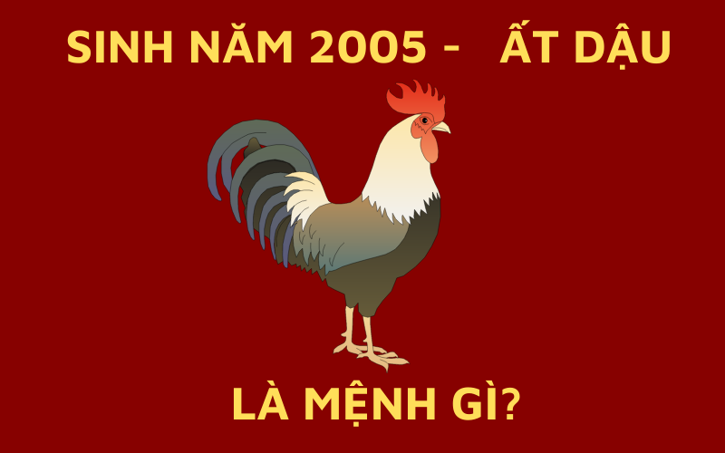 Sinh Năm 2005 Mệnh Gì? Tổng Quan Về Ất Dậu 2005