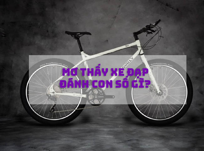 Mơ Thấy Xe Đạp Là Điềm Báo Điều Gì? Điềm Báo Lành Hay Dữ?