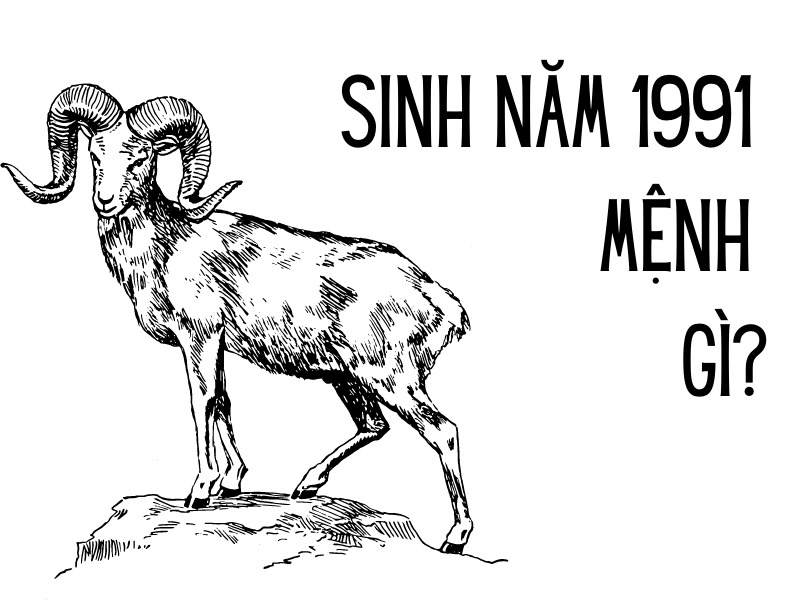 Sinh Năm 1991 Mệnh Gì? Tử Vi Trọn Đời Người Sinh Năm 1991