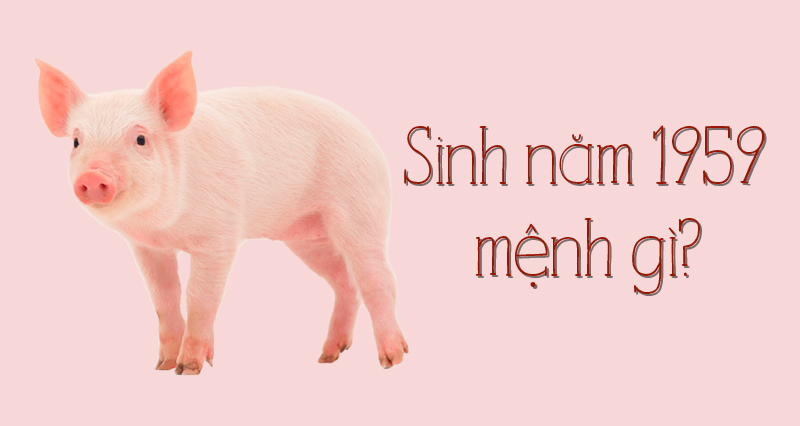 Người Sinh Năm 1959 Mệnh Gì? Giải Đáp Thắc Mắc Người Sinh Năm 1959
