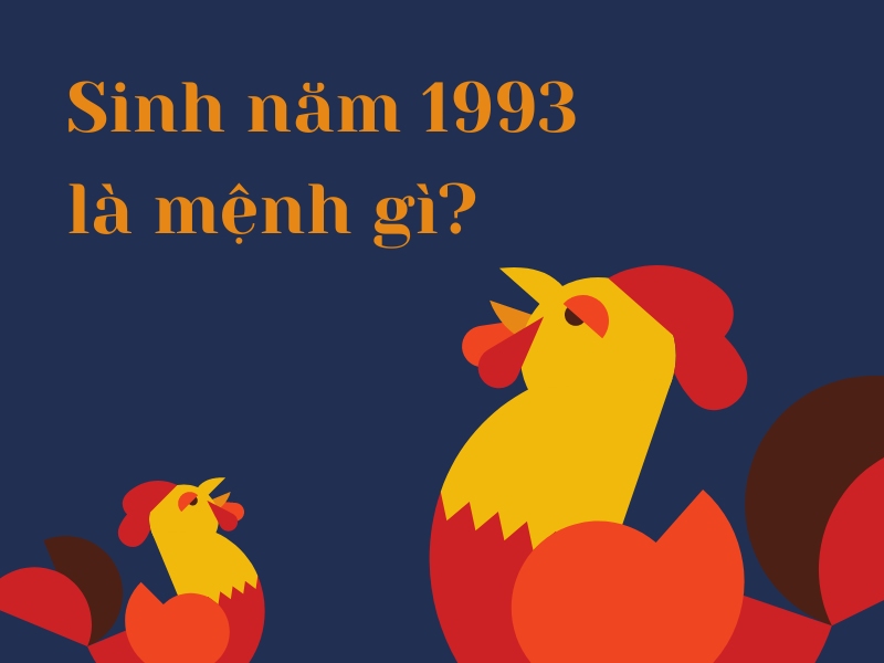 Người Sinh Năm 1993 Mệnh Gì? Giải Đáp Thắc Mắc Người Sinh Năm 1993