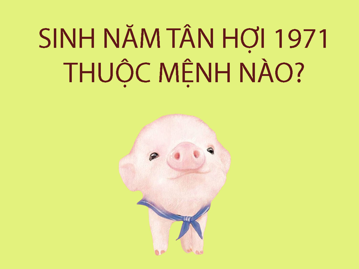 Người Sinh Năm 1971 Mệnh Gì? Giải Đáp Thắc Mắc Người Sinh Năm 1971
